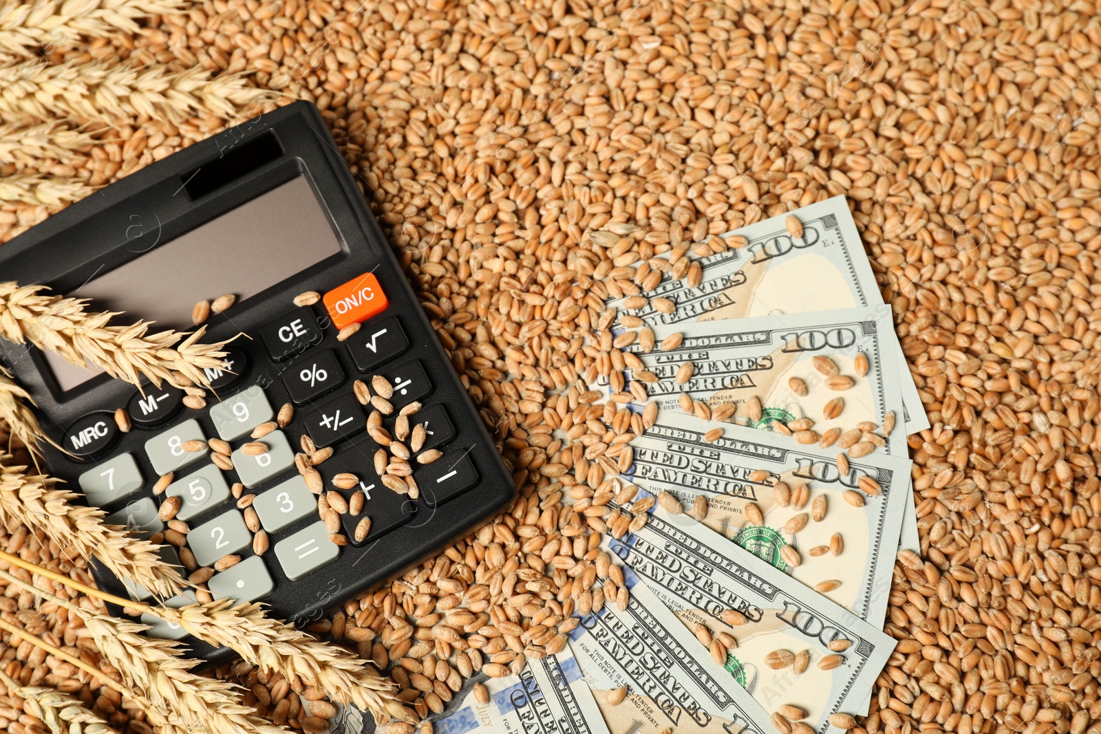 Photo of Dollar banknotes, calculator and wheat ears on grains, top view. Agricultural business