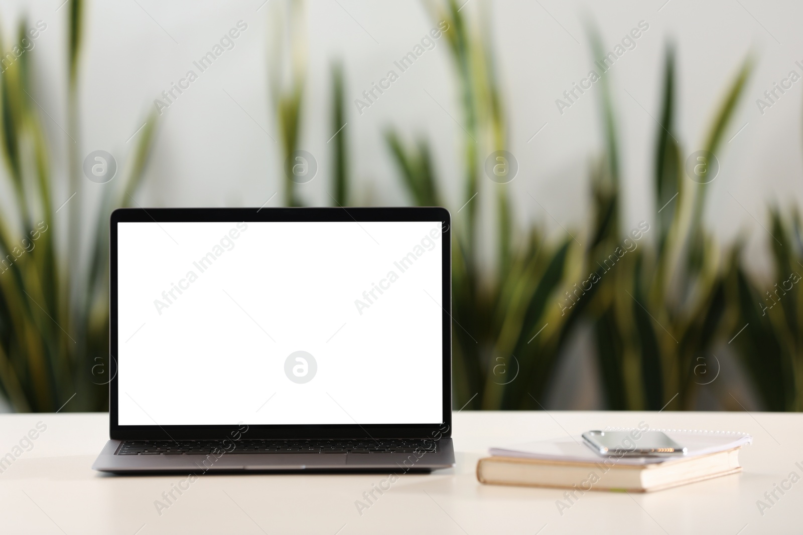 Photo of Modern laptop on desk in office. Mockup for design