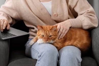 Photo of Woman with cat working in armchair, closeup. Home office