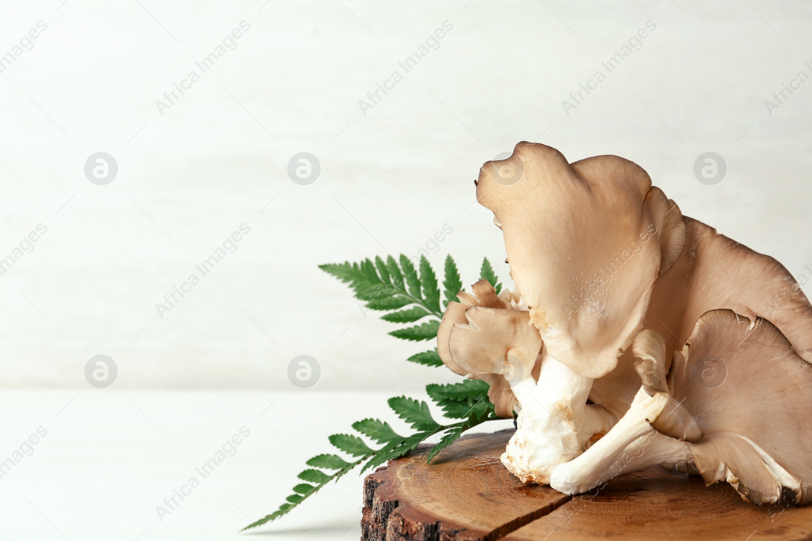 Photo of Wooden coaster with delicious organic oyster mushrooms on table, space for text