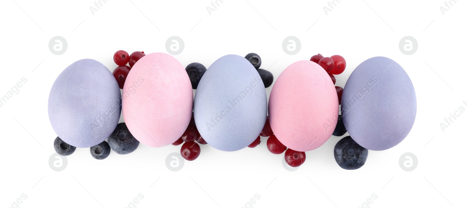 Photo of Naturally painted Easter eggs on white background, top view. Blueberries and cranberries used for coloring