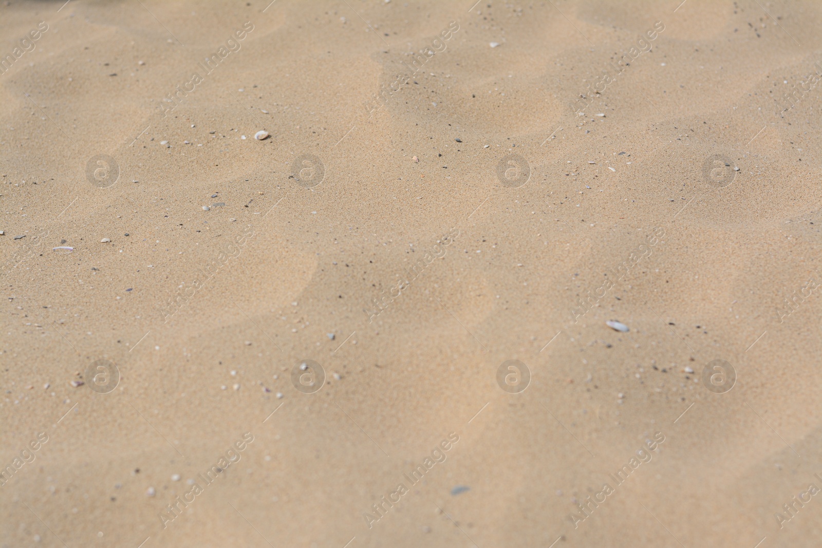 Photo of Texture of sandy beach as background, closeup