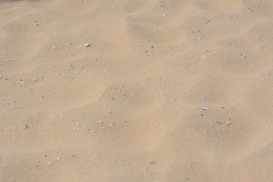 Photo of Texture of sandy beach as background, closeup