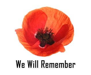Image of Remembrance day card. Red poppy flower and text We Will Remember on white background