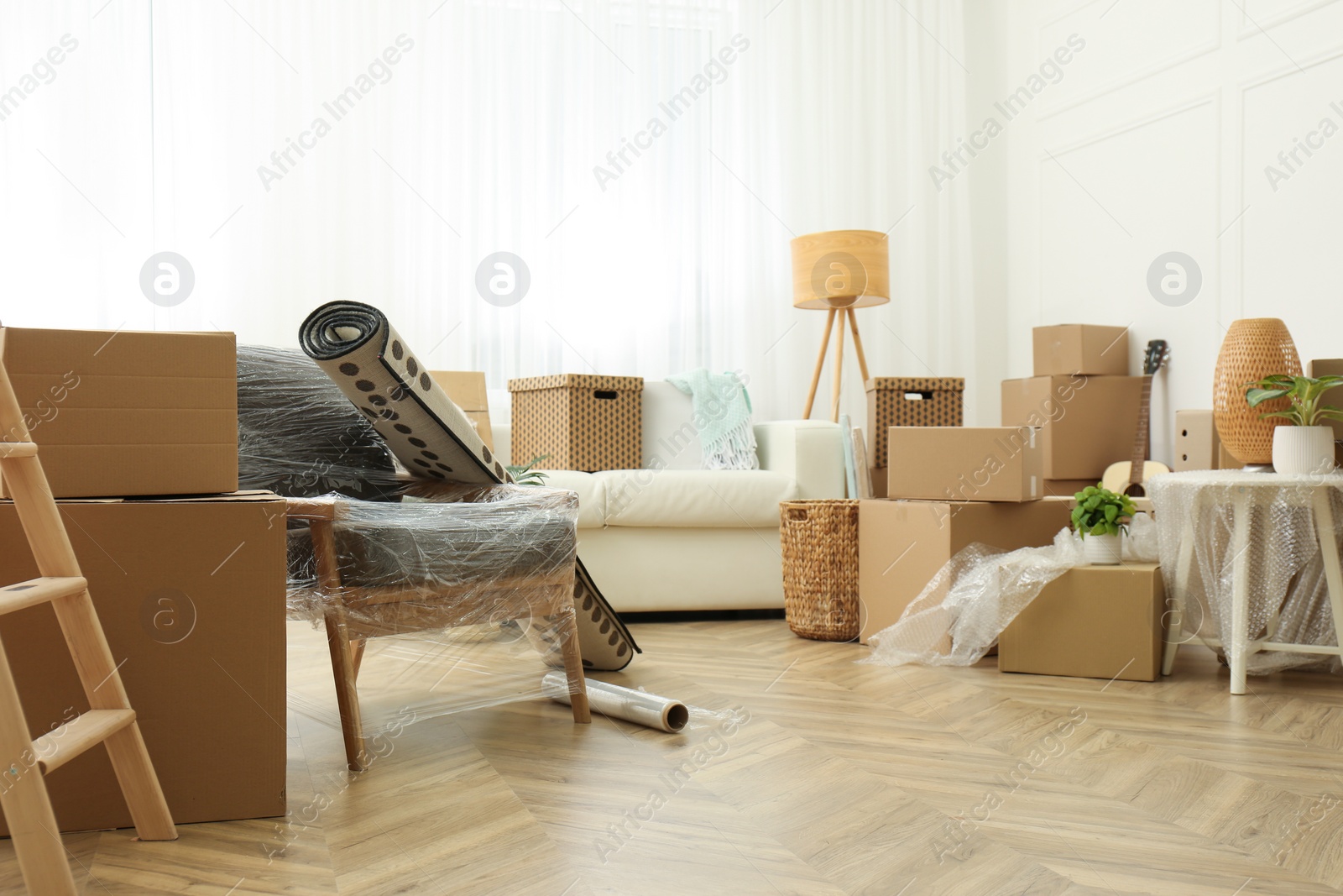 Photo of Cardboard boxes, potted plants and household stuff indoors. Moving day