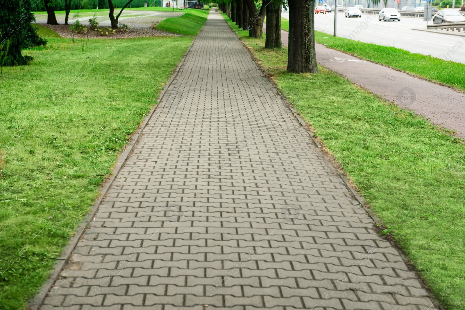 Photo of View of sidewalk path and fresh green grass on sunny day. Footpath covering