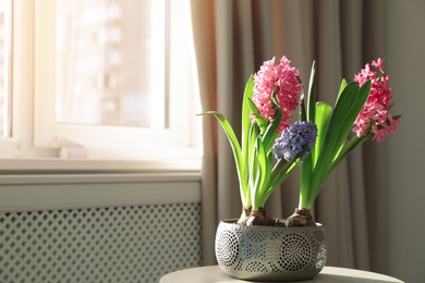 Photo of Blooming spring hyacinth flowers on table near window at home, space for text