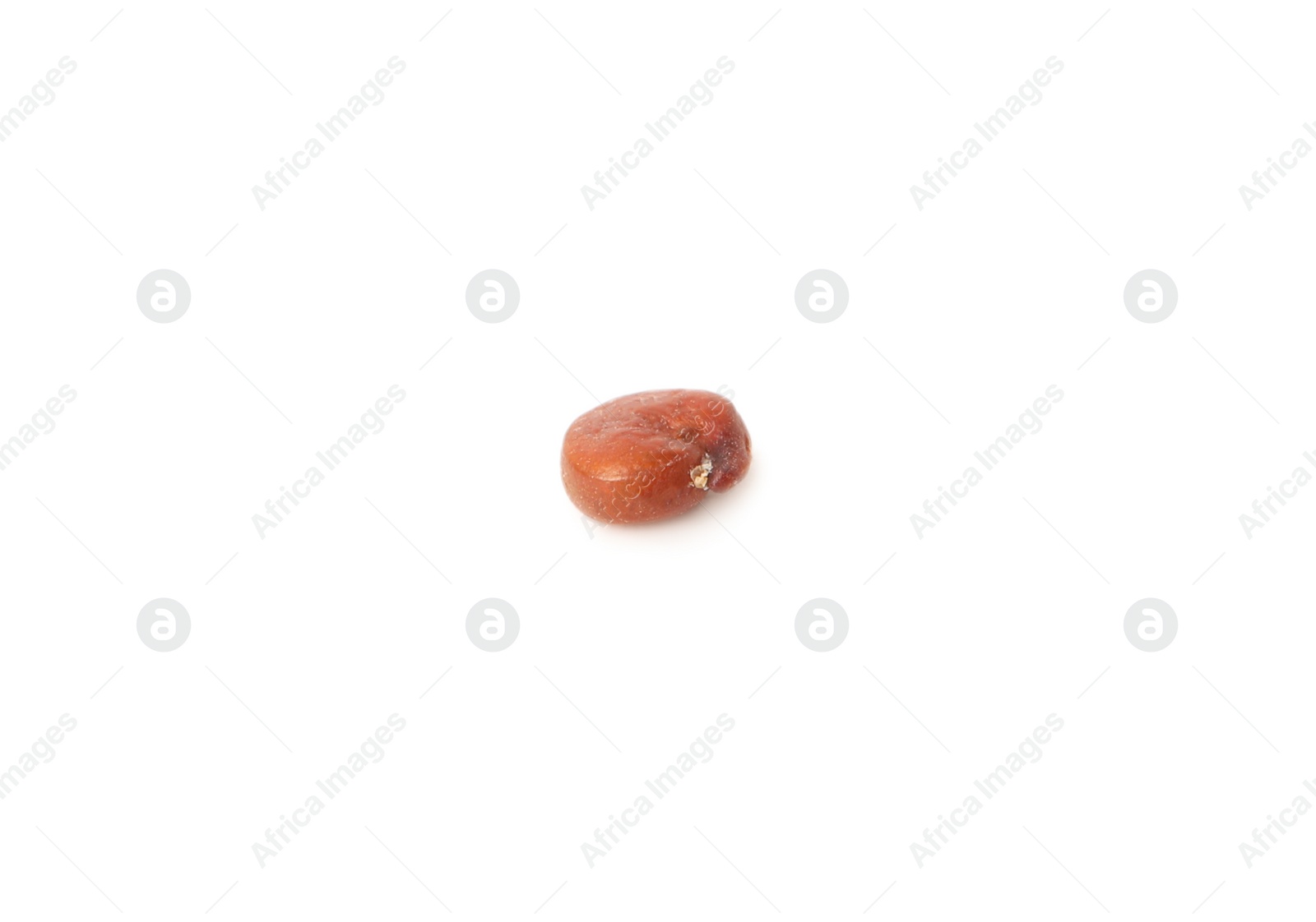 Photo of Raw red quinoa seed on white background. Vegetable planting