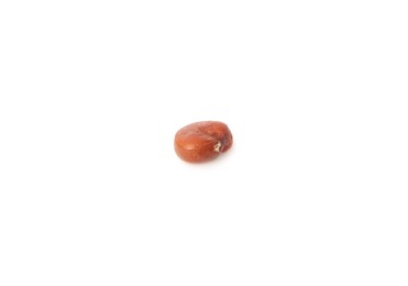 Photo of Raw red quinoa seed on white background. Vegetable planting