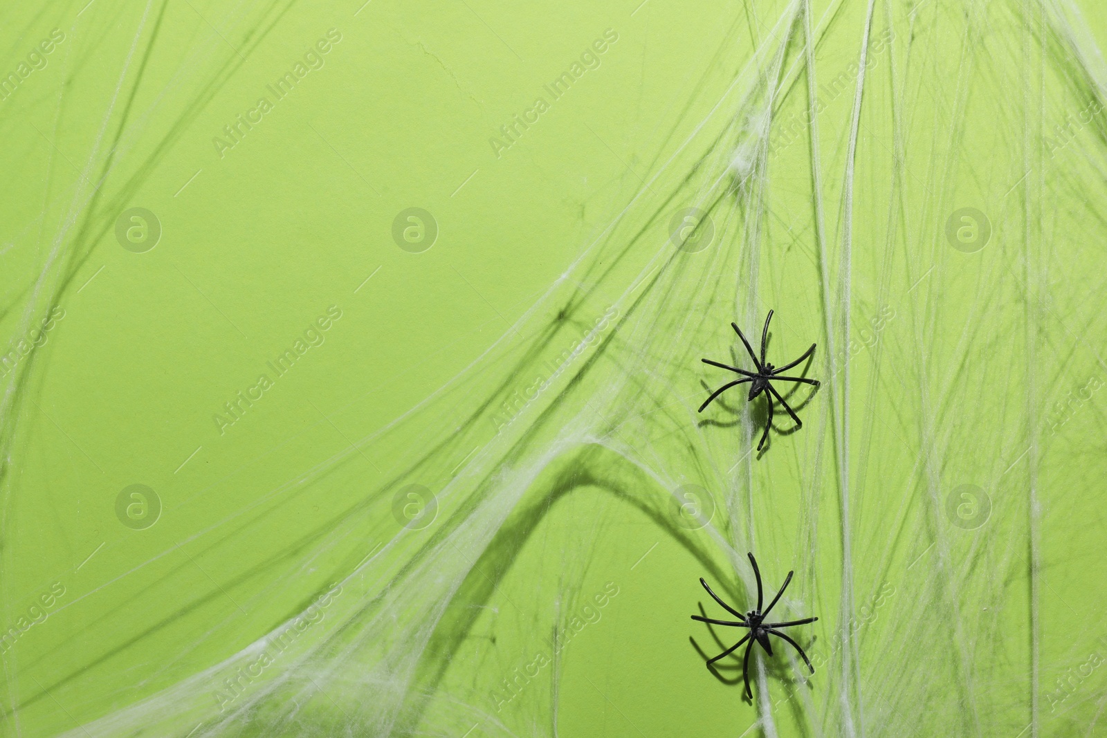 Photo of Cobweb and spiders on green background, top view