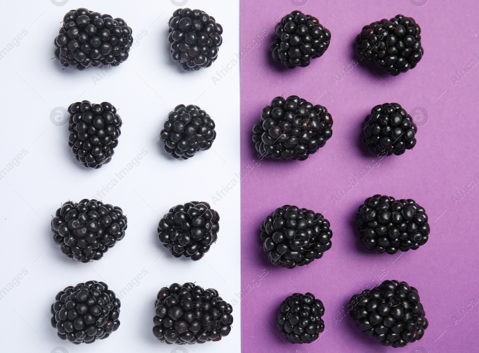 Photo of Flat lay composition with ripe blackberries on color background