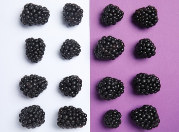 Flat lay composition with ripe blackberries on color background