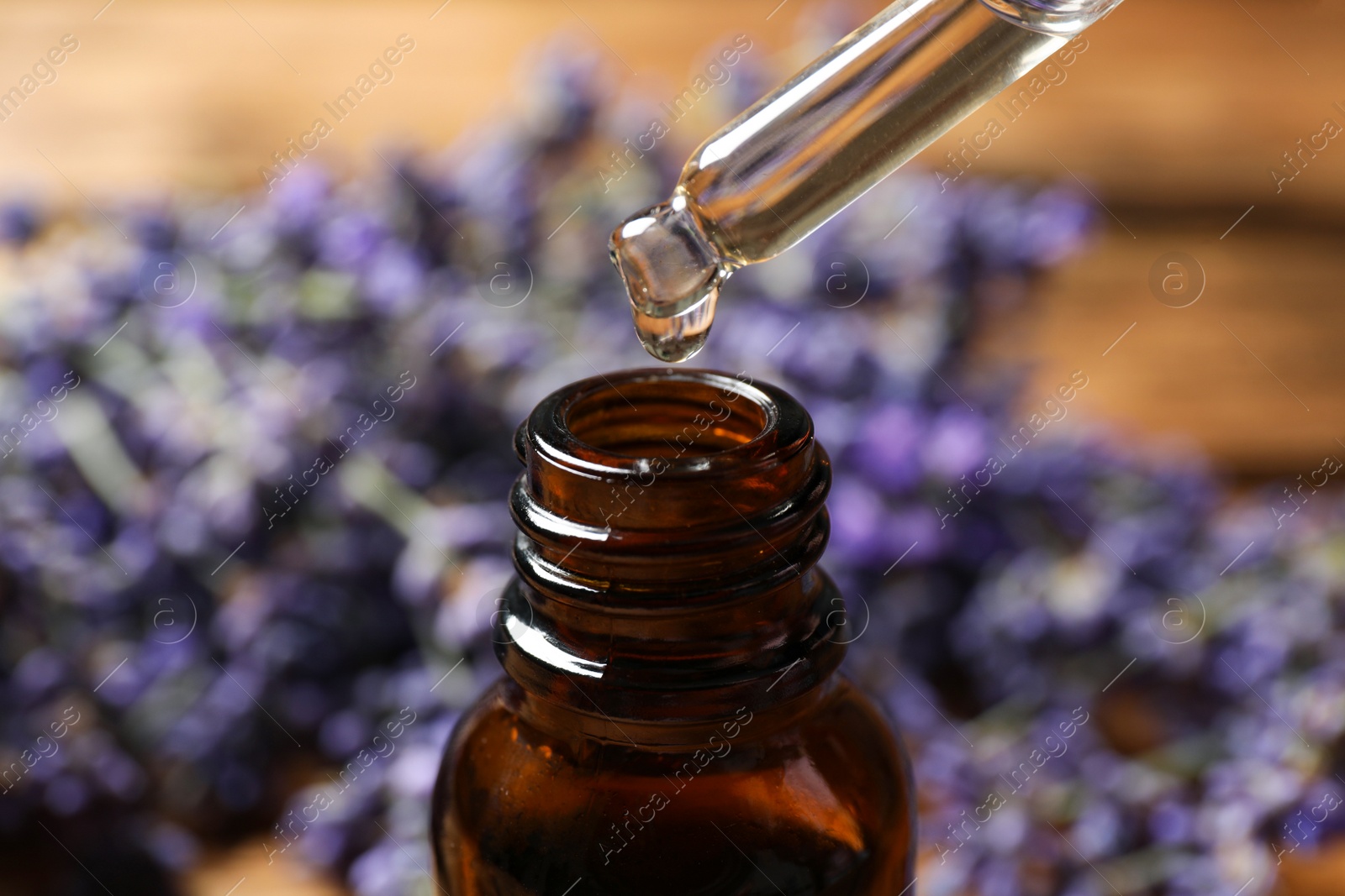 Photo of Dripping lavender essential oil into bottle, closeup