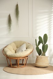 Stylish room with beautiful potted cactus and papasan chair. Interior design
