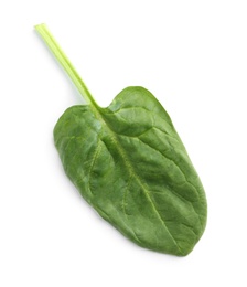 Fresh leaf of spinach isolated on white, top view