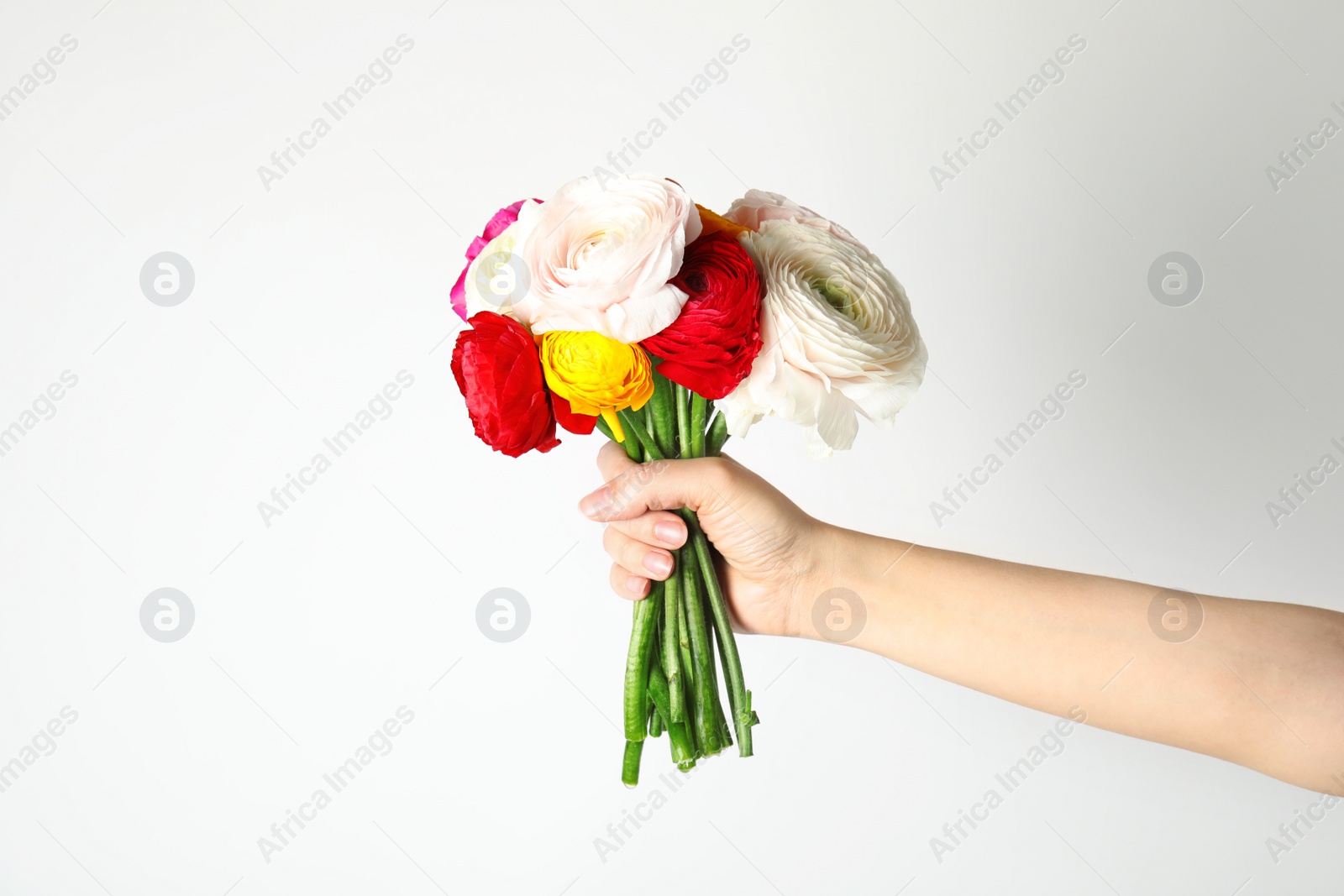 Photo of Woman holding bouquet with beautiful ranunculus flowers on white background