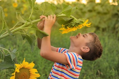 Photo of Cute little boy with blooming sunflower in field. Child spending time in nature