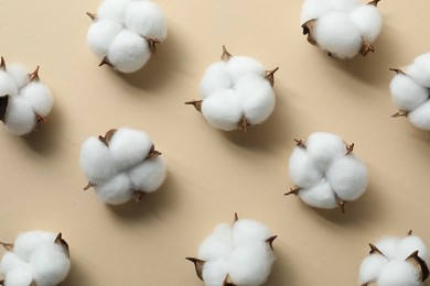 Photo of Fluffy cotton flowers on beige background, flat lay