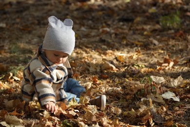 Photo of Cute little child on ground with autumn dry leaves outdoors, space for text