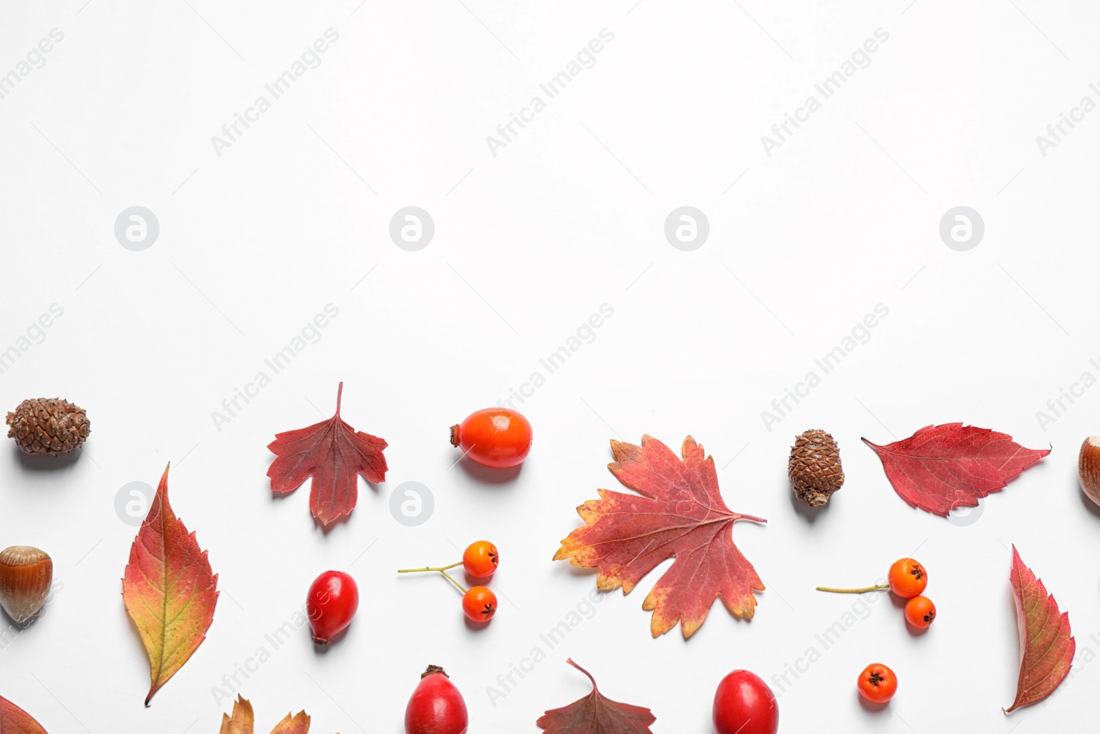 Photo of Beautiful composition with autumn leaves on white background, flat lay. Space for text