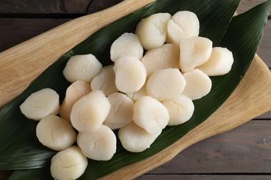 Photo of Fresh raw scallops on wooden table, top view