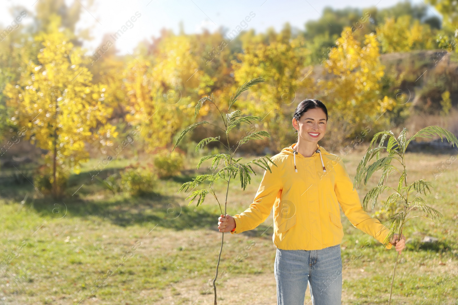 Photo of Mature woman with saplings in park on sunny day, space for text. Planting tree