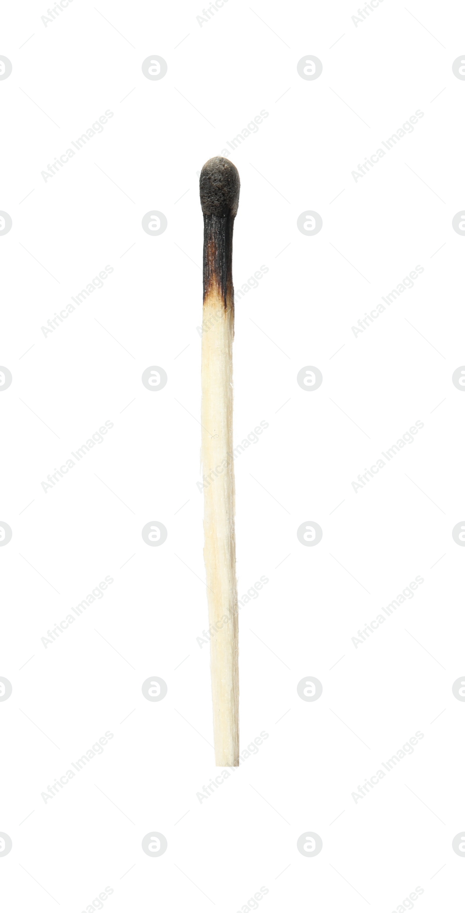 Photo of One burnt match isolated on white. Tool for starting fire