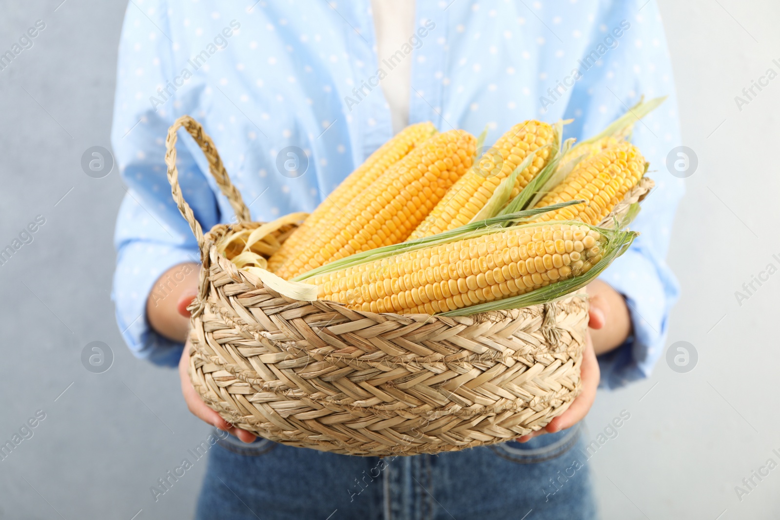 Photo of Woman with basket of corn cobs on light background, closeup