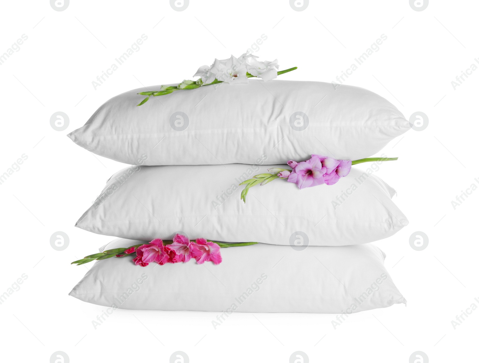 Photo of Soft pillows with beautiful flowers on white background