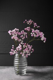 Beautiful dyed gypsophila flowers in glass vase on light grey table
