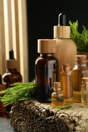 Photo of Essential oils in bottles, rosemary and wood on table against black background, closeup