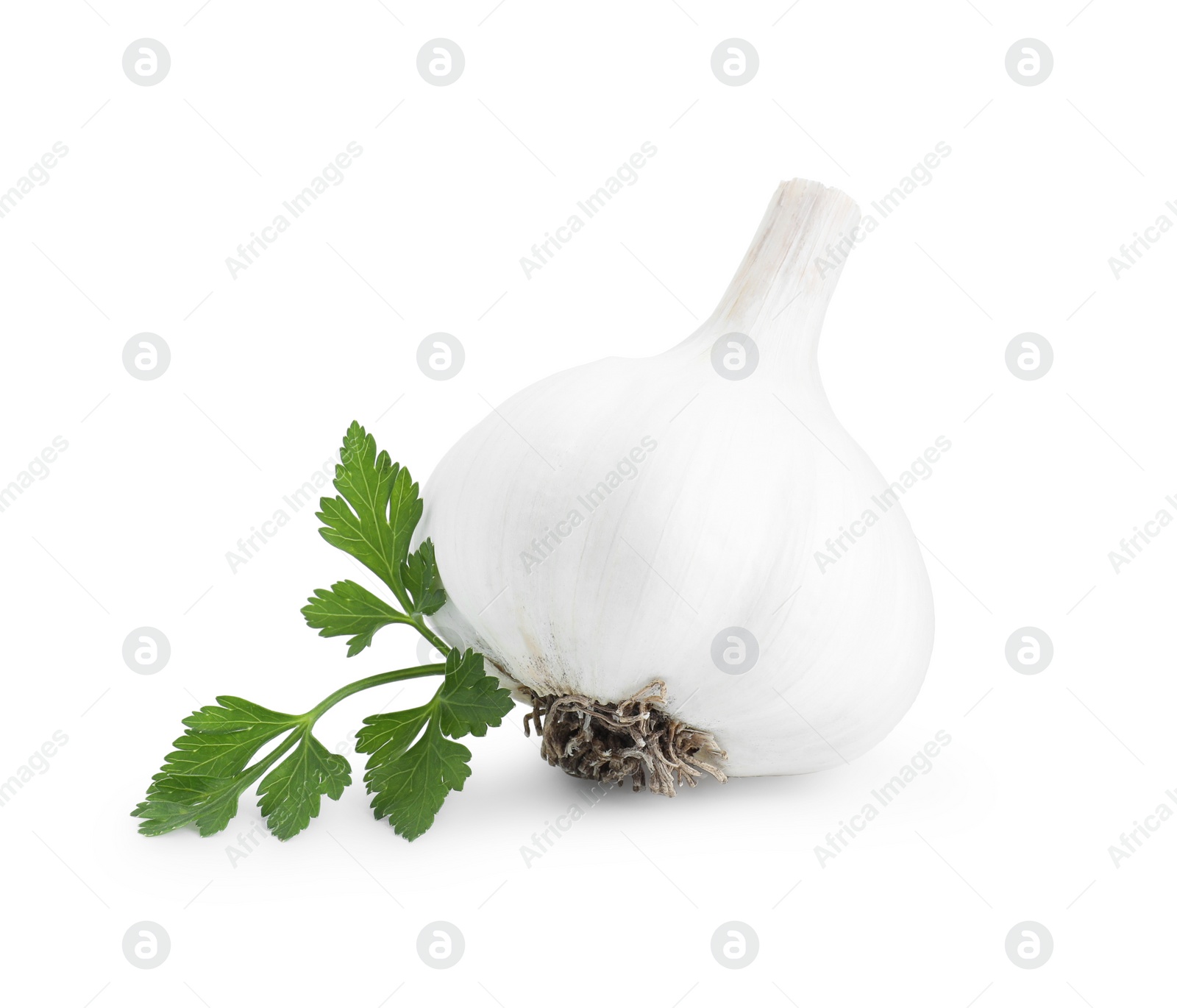 Photo of Fresh garlic head and parsley isolated on white