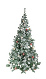 Photo of Beautiful Christmas tree with decor on white background. Celebration time