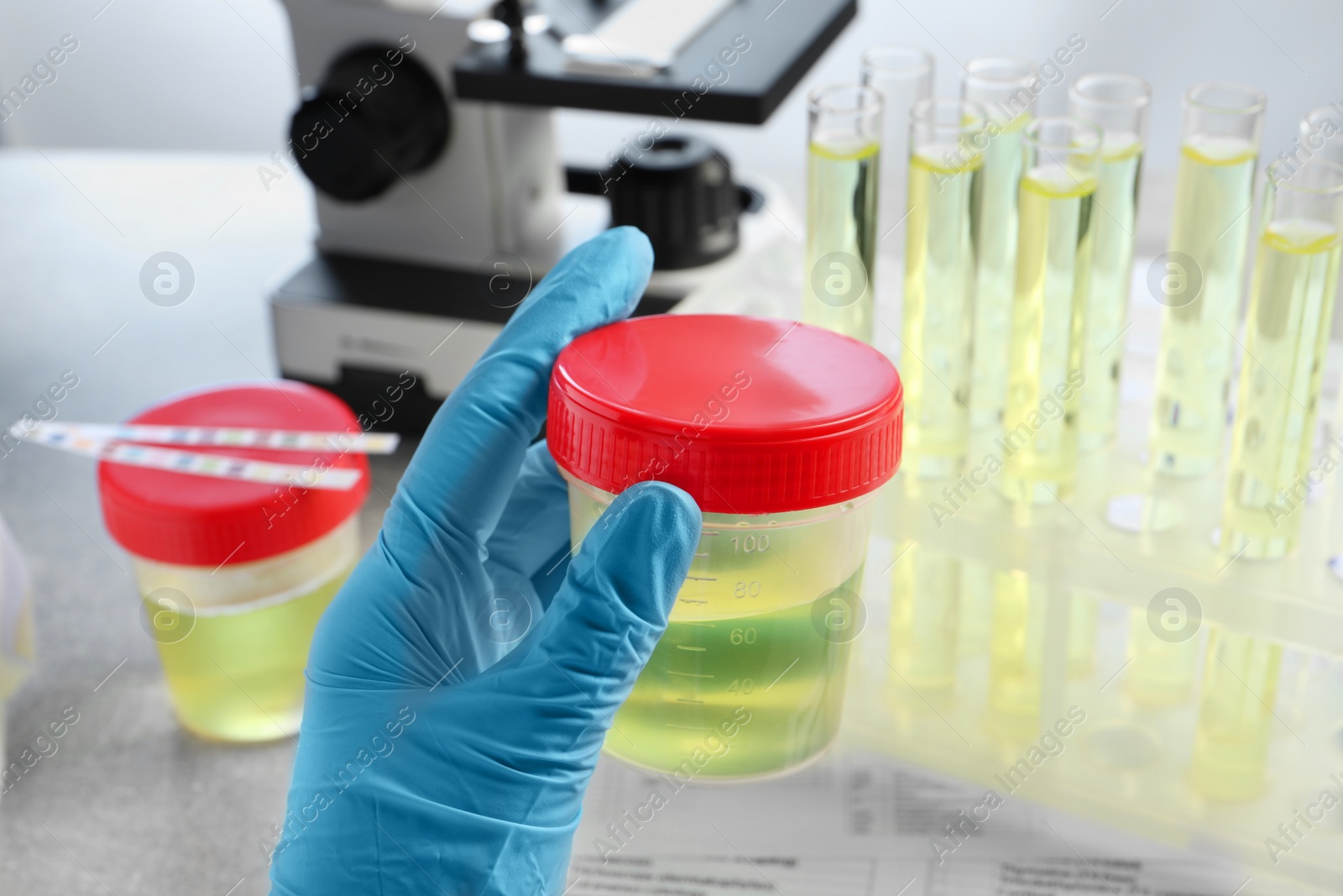 Photo of Doctor holding container with urine sample for analysis at grey table in laboratory, closeup