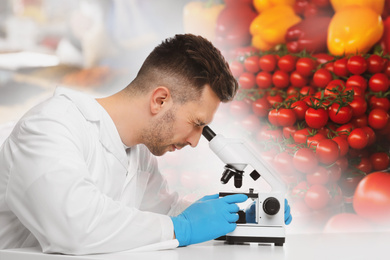 Image of Scientist using modern microscope at table in laboratory. Food quality analysis