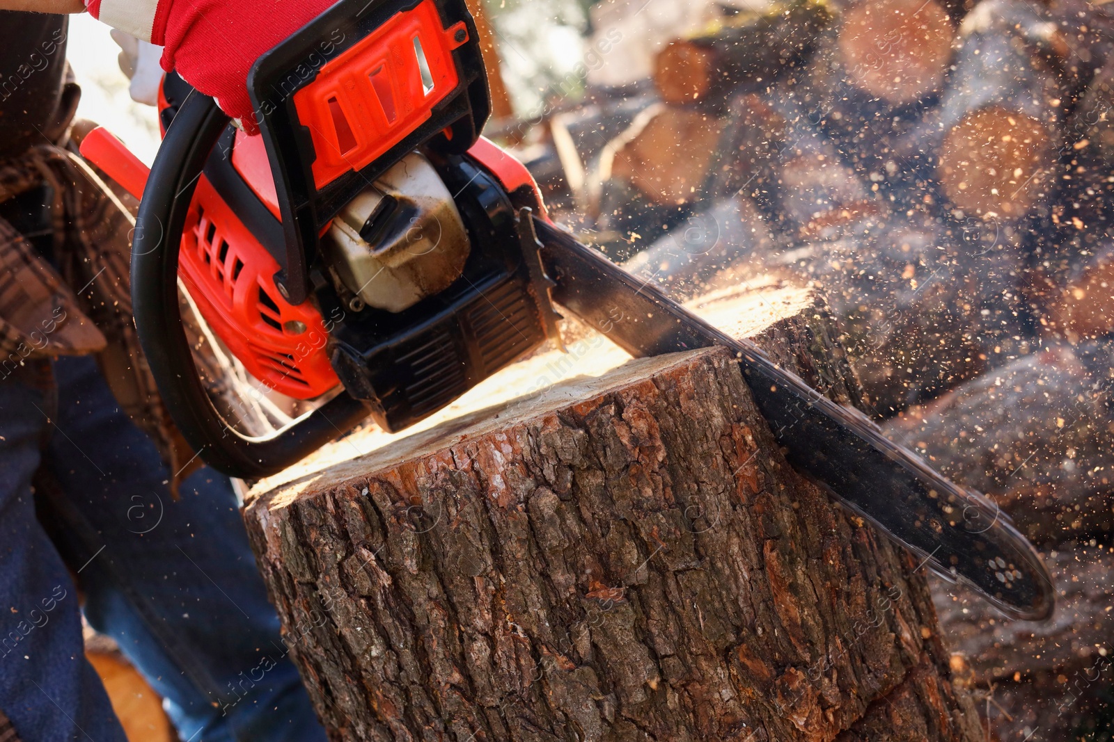 Photo of Man sawing wooden log outdoors, closeup view