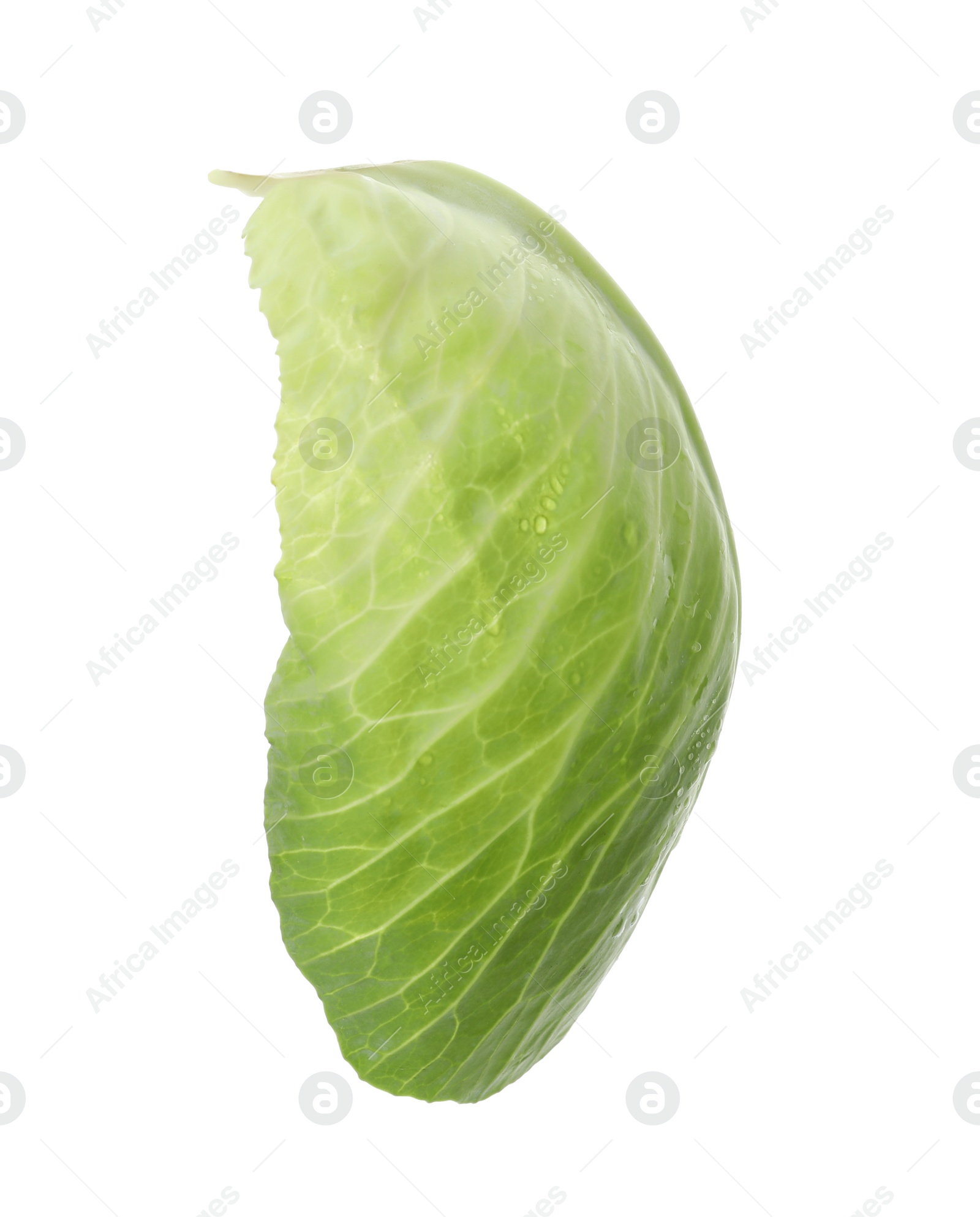 Photo of Leaf of fresh ripe cabbage isolated on white