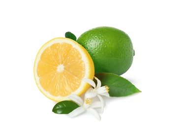 Image of Fresh ripe lime, lemon and citrus flowers with green leaves on white background