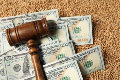 Photo of Dollar banknotes and wooden gavel on wheat grains, above view. Agricultural business