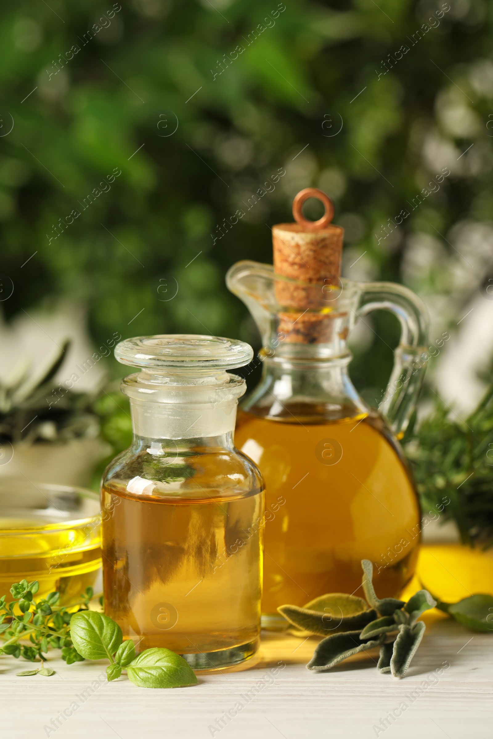 Photo of Different fresh herbs with oils on white wooden table