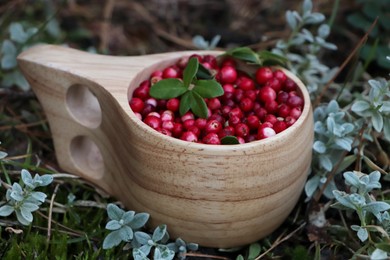 Many ripe lingonberries in wooden cup outdoors, closeup