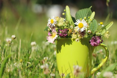 Photo of Green cup with different wildflowers and herbs in meadow on sunny day, closeup. Space for text