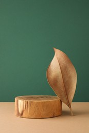 Photo of Presentation for product. Wooden podium and dry leaf on color background. Space for text