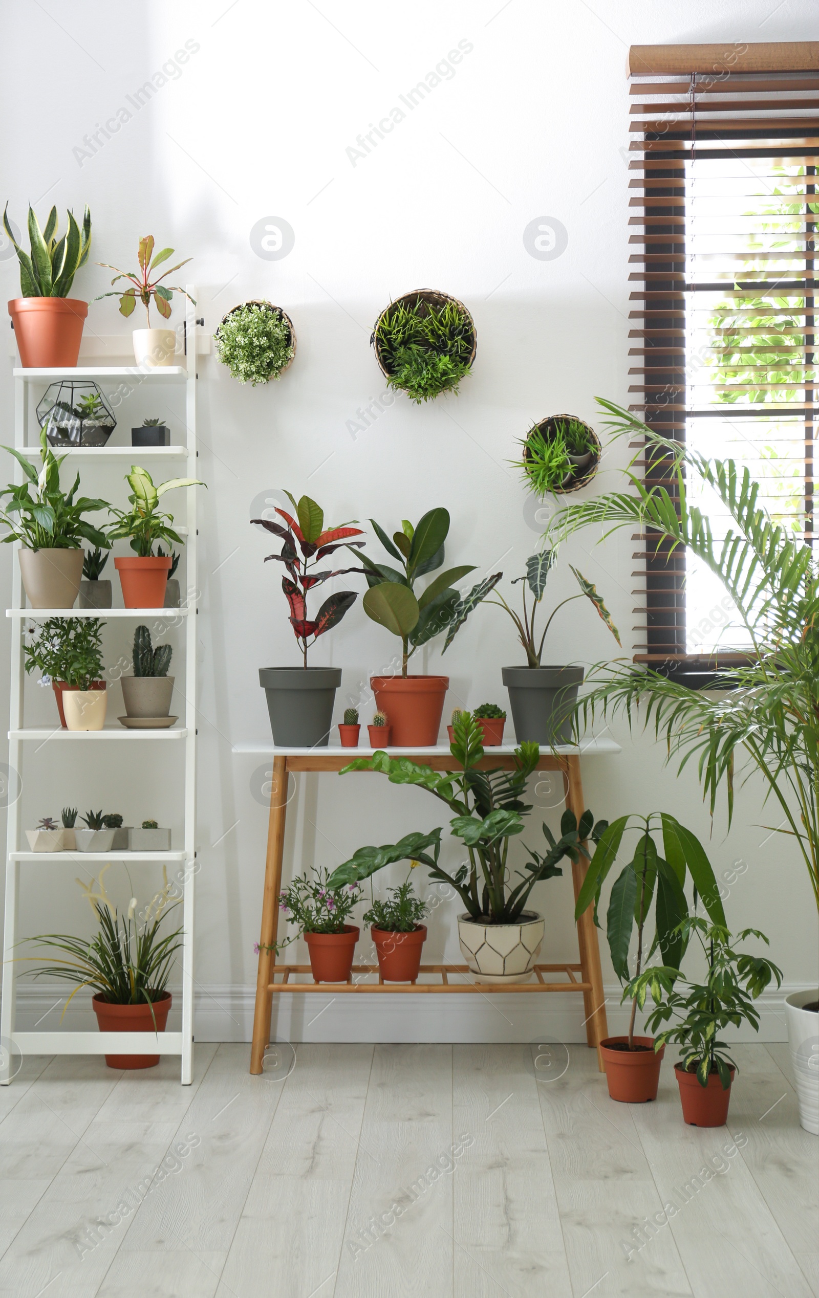 Photo of Stylish room interior with different home plants
