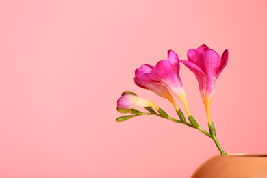 Photo of Beautiful flower in vase against color background, space for text