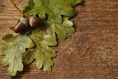 Acorns with oak leaves on wooden table, top view. Space for text