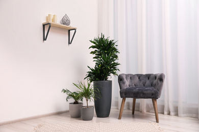 Photo of Stylish room interior with beautiful plants and comfortable armchair