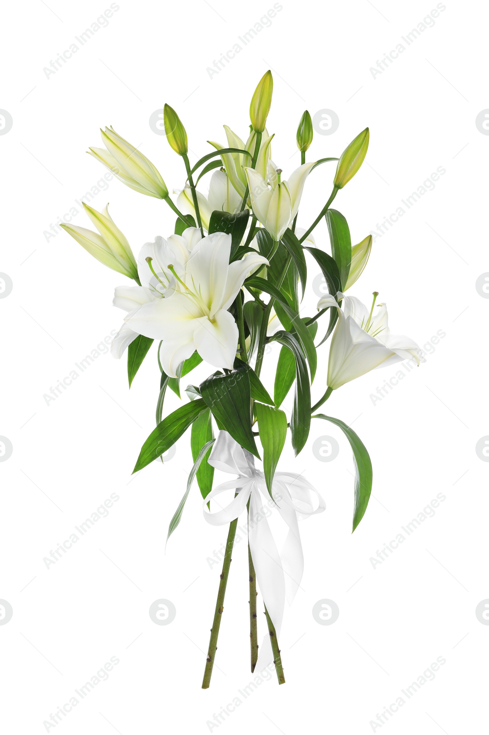 Photo of Beautiful bouquet of lily flowers tied with ribbon isolated on white