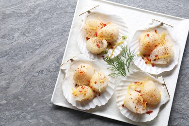 Photo of Raw scallops with spices, dill, lemon zest and shells on grey marble table, top view. Space for text
