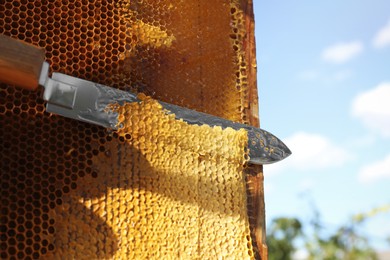 Uncapping honeycomb frame with knife outdoors on sunny day, closeup